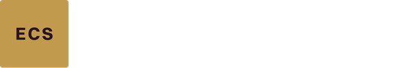 Egypt Consultants Society